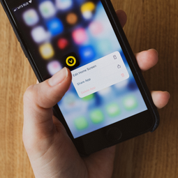 тестировать французский